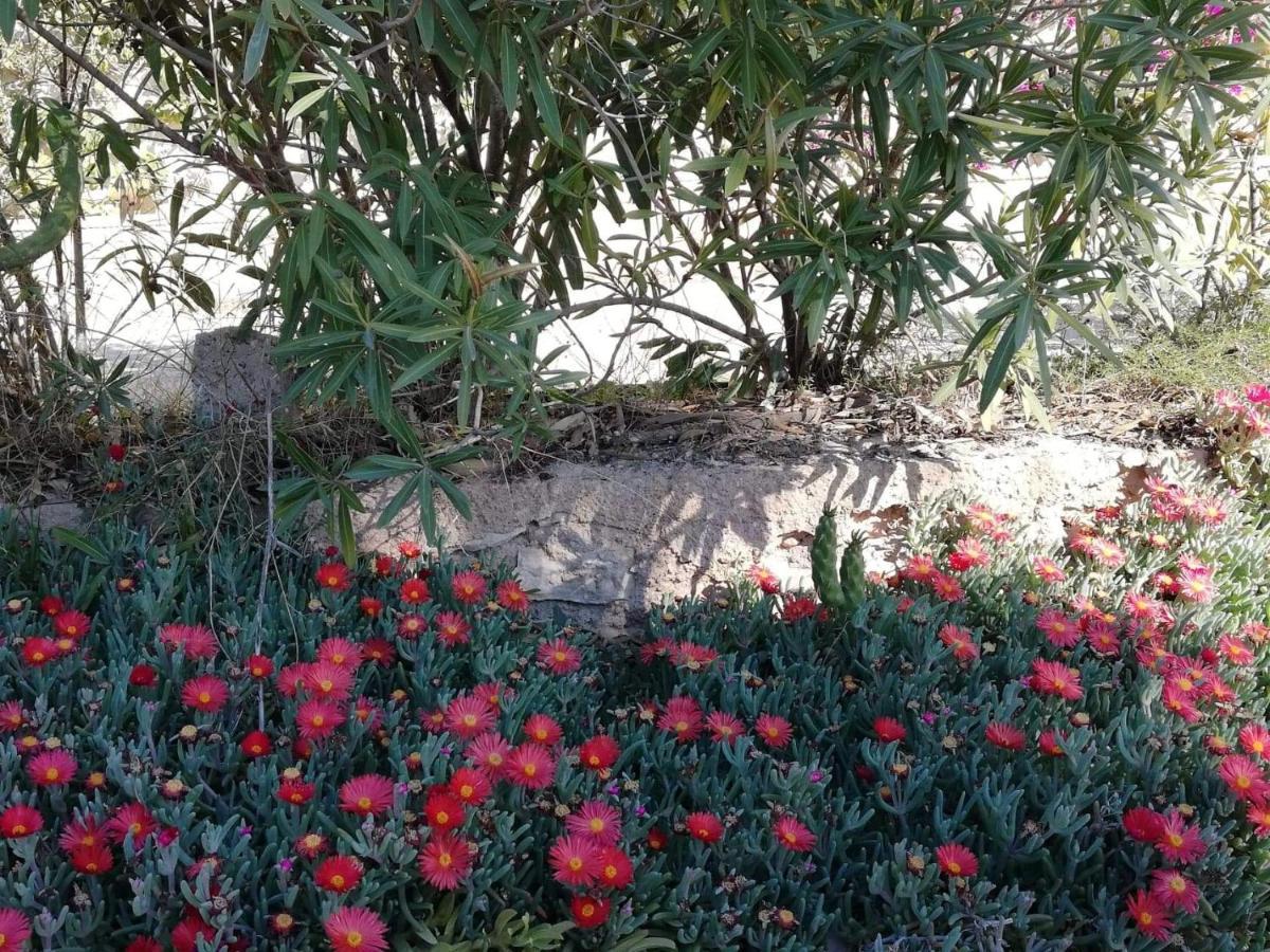 Perfect For Exploring Local Areas And More Torrevieja Extérieur photo